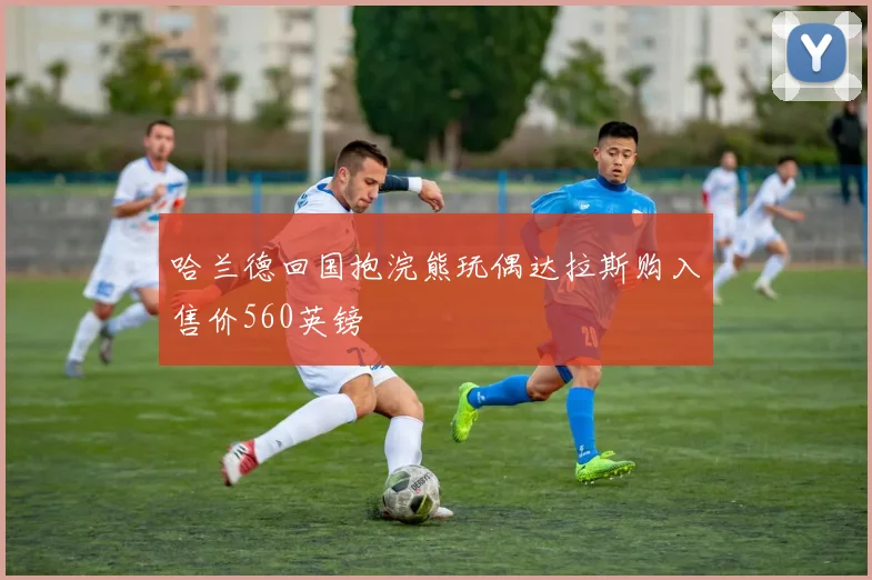 哈兰德回国抱浣熊玩偶达拉斯购入售价560英镑