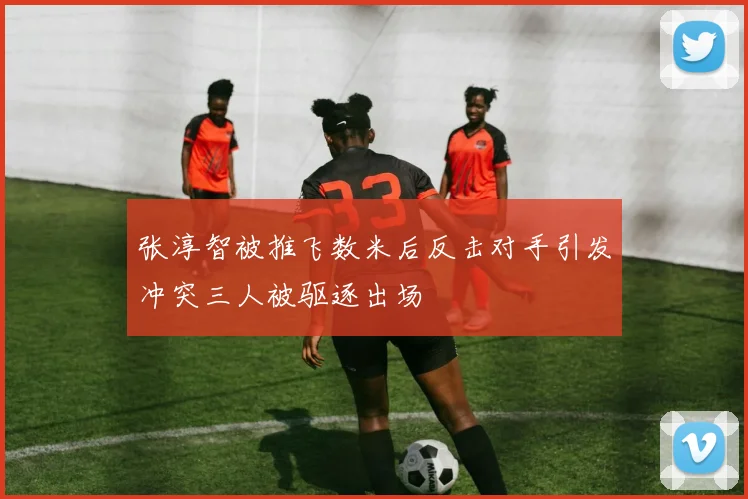 张淳智被推飞数米后反击对手引发冲突三人被驱逐出场