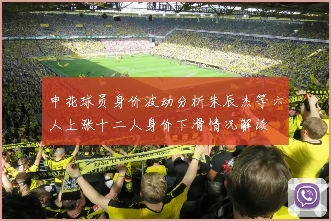 申花球员身价波动分析朱辰杰等六人上涨十二人身价下滑情况解读