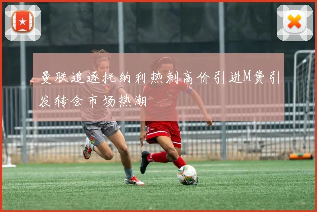曼联追逐托纳利热刺高价引进M费引发转会市场热潮