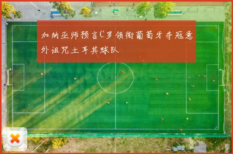 加纳巫师预言C罗领衔葡萄牙夺冠意外诅咒土耳其球队